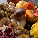 Canella 호텔 퓌피아노발레이마냐